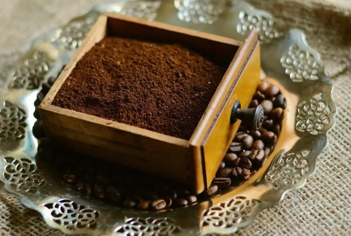Discover The Endless Possibilities Of Coffee Grounds Read Now!